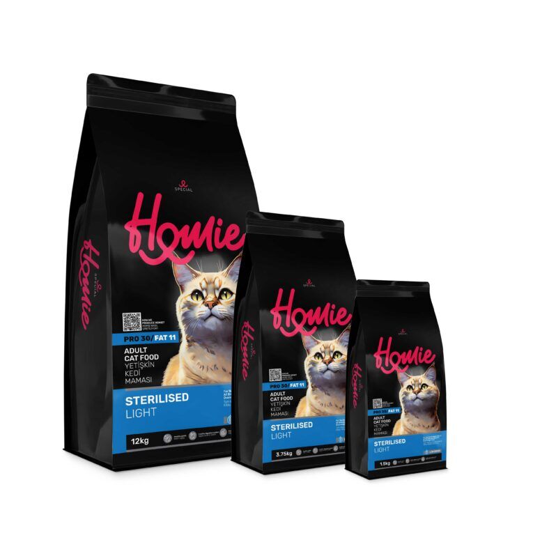 yetiskin_kedi_sterilize_Light_30_11_uclu